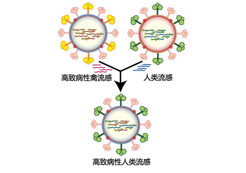 病毒存在34亿年(病毒存在多少亿年了)