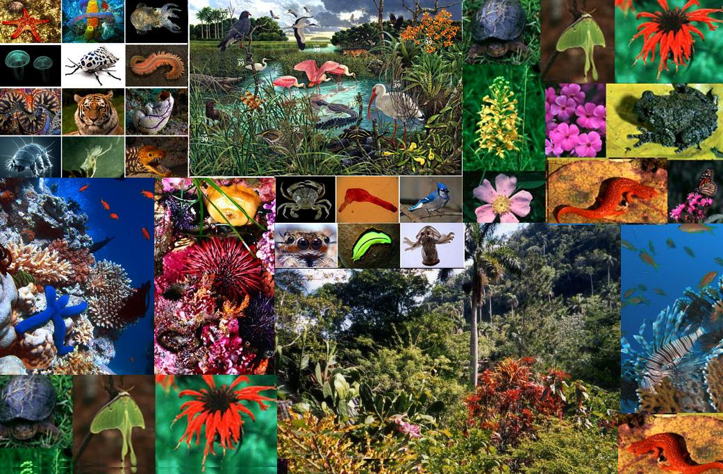 病毒存在34亿年(病毒存在多少亿年了)