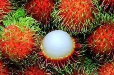 ​红毛丹对胃好吗 胃痛可以吃红毛丹吗