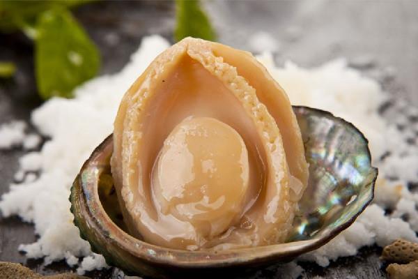 鲍鱼怎么保存最新鲜 鲍鱼放冰箱里保鲜可以放几天 鲍鱼怎么保存最新鲜 鲍鱼放冰箱里保鲜可以放几天