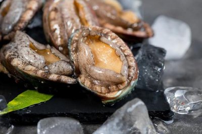 ​鲍鱼怎么保存最新鲜 鲍鱼放冰箱里保鲜可以放几天