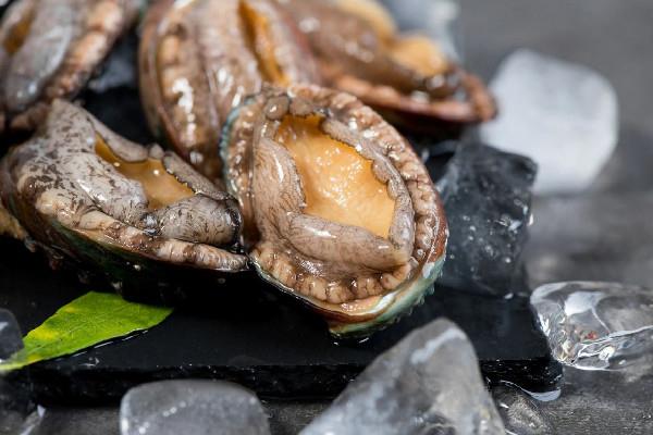 鲍鱼怎么保存最新鲜 鲍鱼放冰箱里保鲜可以放几天 鲍鱼怎么保存最新鲜 鲍鱼放冰箱里保鲜可以放几天