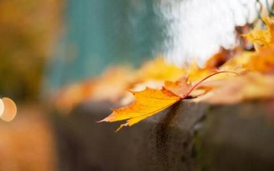 ​热爱祖国的简短句子，爱党爱国的经典句子