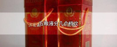 ​五粮液最好的是哪种 五粮液有哪几款