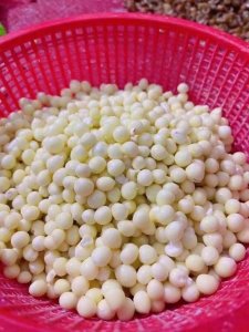 芡实是什么(芡实简单介绍)