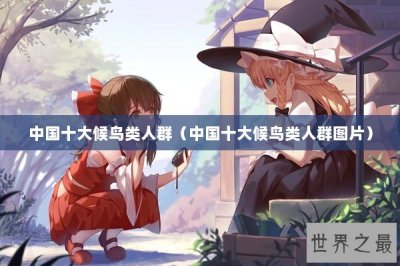 ​中国十大候鸟类人群（中国十大候鸟类人群图片）