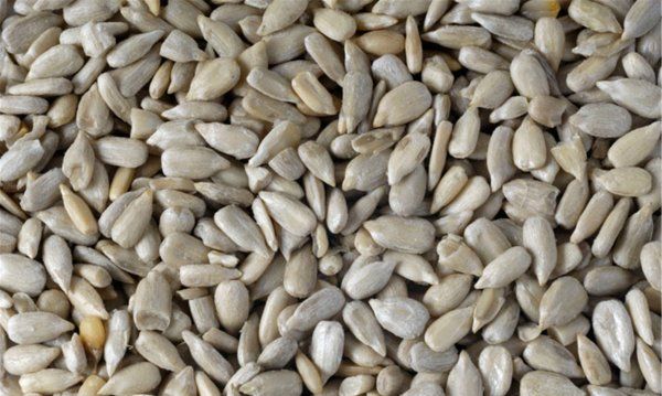 抗癌坚果有哪些,抗癌的坚果有哪些图7