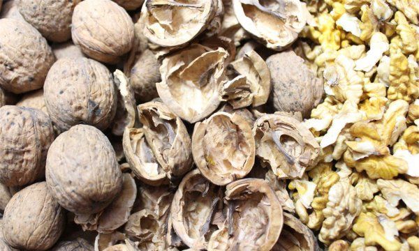 抗癌坚果有哪些,抗癌的坚果有哪些图4