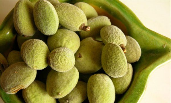 抗癌坚果有哪些,抗癌的坚果有哪些图5