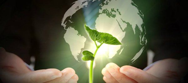 人和自然的关系,人与自然是什么关系图1