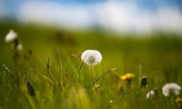 人和自然的关系,人与自然是什么关系图2