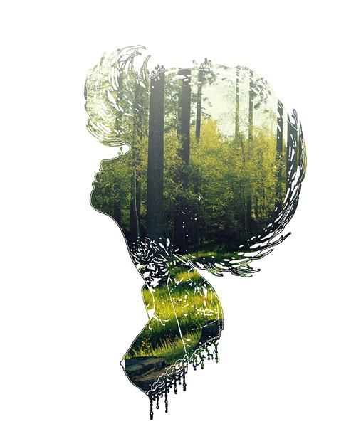 人和自然的关系:人与自然的关系是什麽