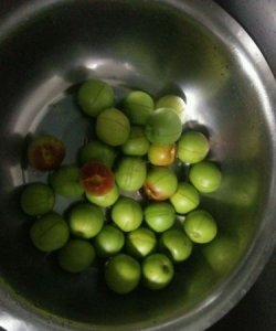 ​绿杏怎么腌制,腌杏子怎么做 杏子怎么腌制好吃