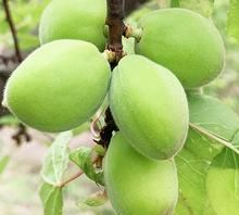 红色代表什么绿色代表什么