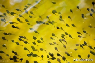 ​恰逢其时什么意思（所有的偶然加起来就是必然）