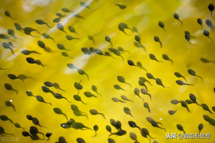 恰逢其时什么意思（所有的偶然加起来就是必然）