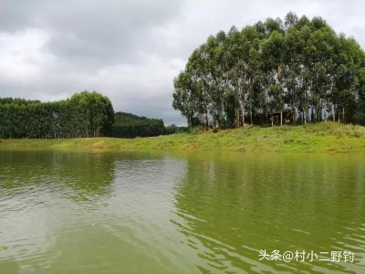 ​湿度多少适合钓鱼(湿度高好钓鱼还是低好钓鱼)