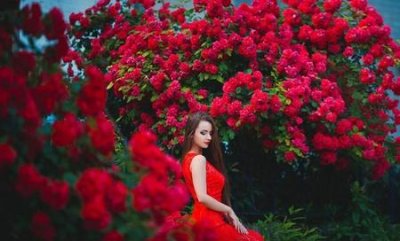 ​女人为什么一吵架就说离婚(老婆一吵架就说离婚是什么意思)