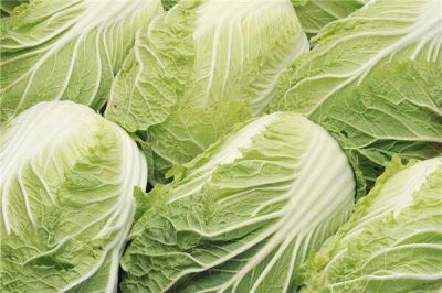 ​白菜可以炒鸡蛋吗 白菜炒鸡蛋有哪些有效（营养丰富）