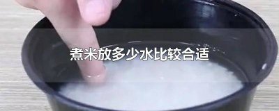 ​米直接放水里煮要多久 米用水煮多久熟