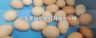 ​鸡蛋不臭但是打开像水一样怎么回事 鸡蛋不臭但是打开像水一样是坏了吗