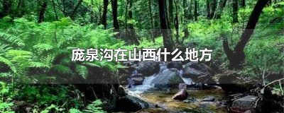 ​山西庞泉沟有什么旅游景点好玩 山西庞泉沟有什么旅游景点可以玩