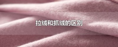 ​拉绒和抓绒的区别