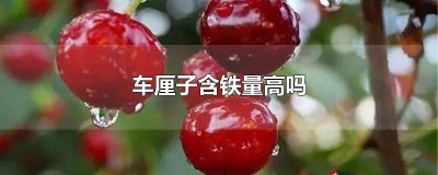 ​车厘子含铁量高吗能吃吗 车厘子含铁量高吗百度百科