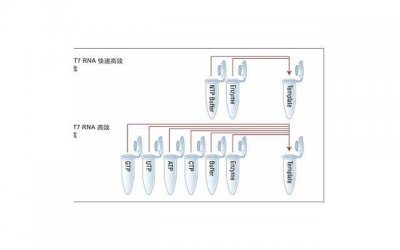 ​怎么套话让男人承认出轨的话（绝对有效）