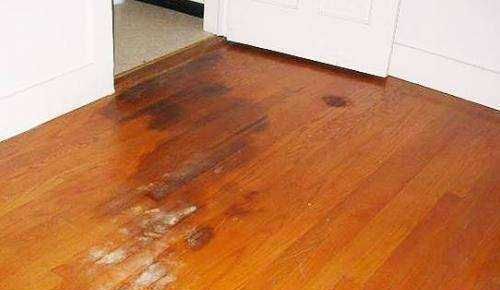 地板发霉怎么清理干净,木地板发霉有什么好的处理方法图5