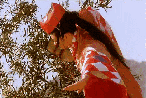 怀旧香港老电影(这些香港老电影值得你n刷)(24)