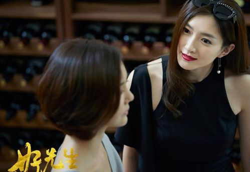 好先生演员表(这部剧的简单介绍有吗)