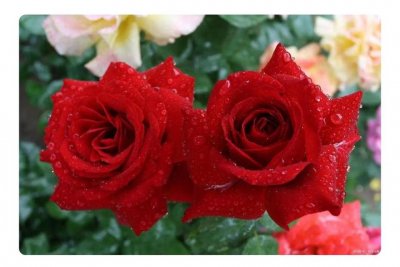 ​4寸等于几公分（1公分是多少厘米）