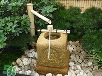 饮水机里的水可以放多久?春节过来还能喝吗