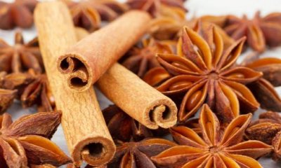 ​八角和假八角的区别 买八角时白送也不要的情况