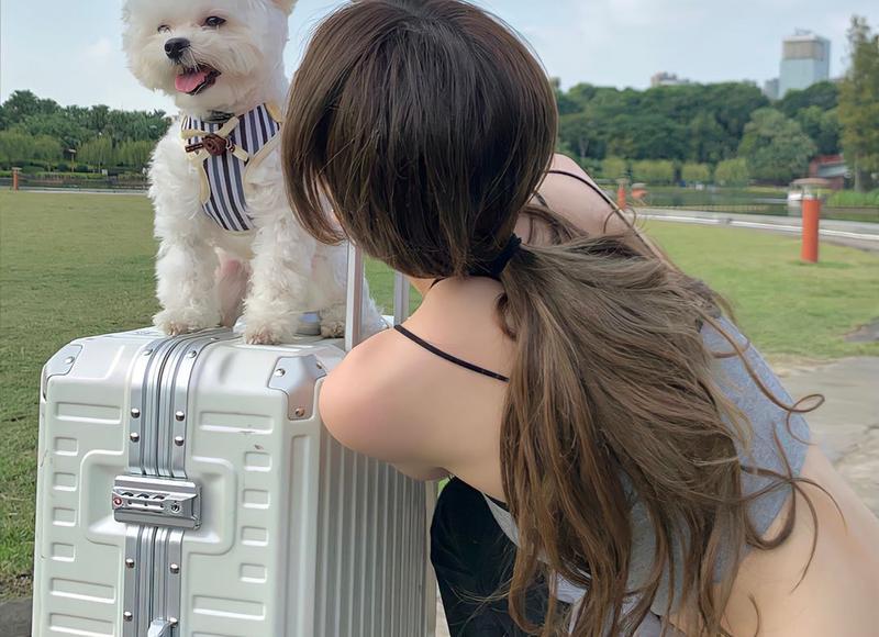 女孩说要用什么报答你?怎么机智回答 女孩说要用什么报答你?怎么机智回答