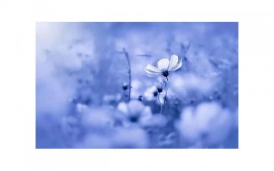 ​女神说你土味情话（ 自私爱人°《LOVE的告白）